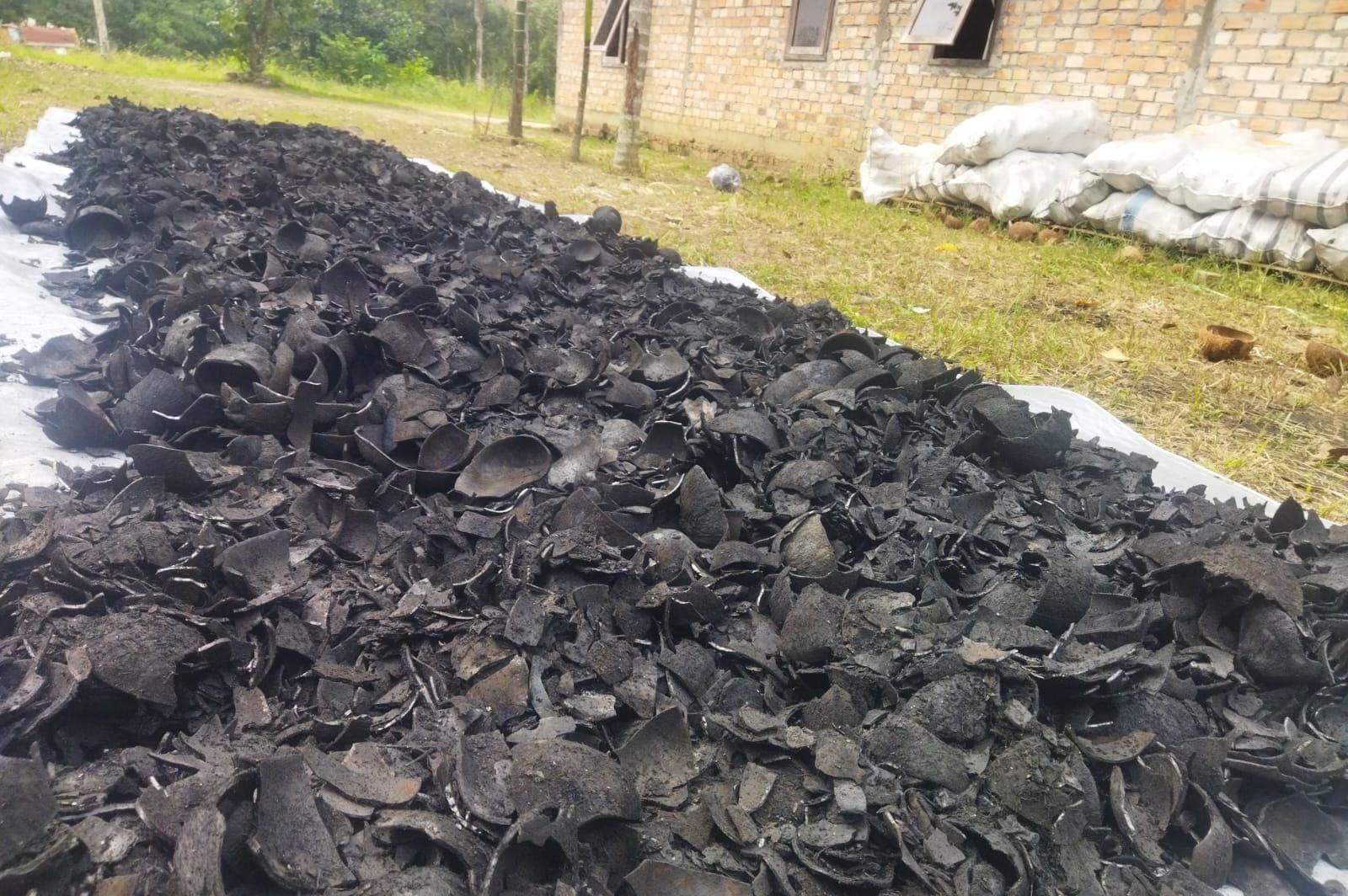 Coconut shell charcoal drying at a partner processing site